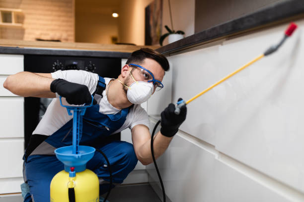 Best Wasp Removal Services  in Perry Heights, OH
