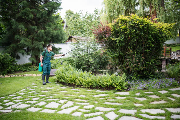 Best Pest Prevention Services  in Perry Heights, OH