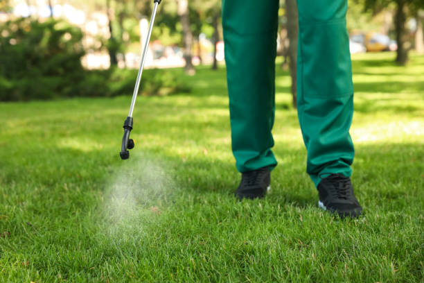 Best Ant Control Services  in Perry Heights, OH