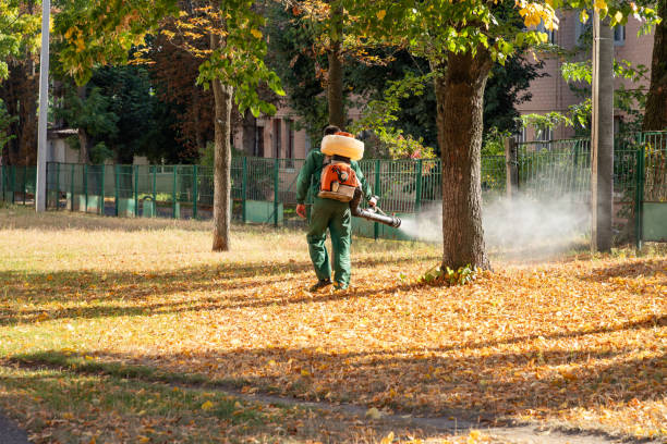 Best Residential Pest Control  in Perry Heights, OH